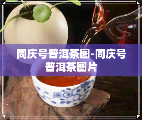 同庆号普洱茶图-同庆号普洱茶图片