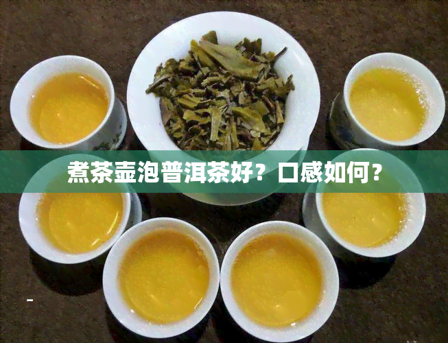 煮茶壶泡普洱茶好？口感如何？