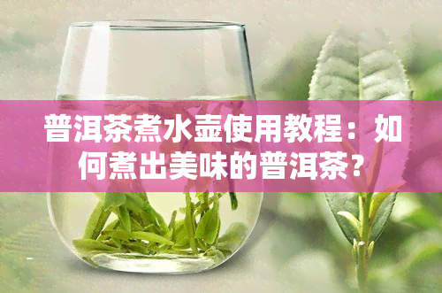 普洱茶煮水壶使用教程：如何煮出美味的普洱茶？