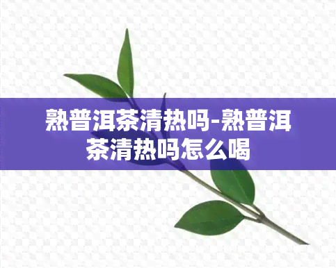 熟普洱茶清热吗-熟普洱茶清热吗怎么喝