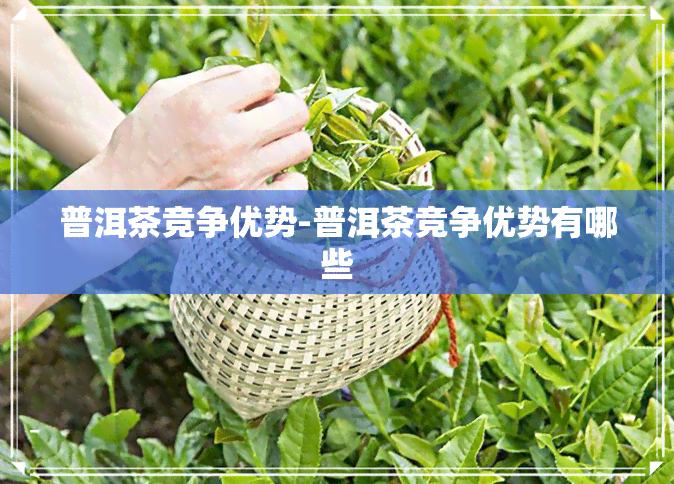 普洱茶竞争优势-普洱茶竞争优势有哪些