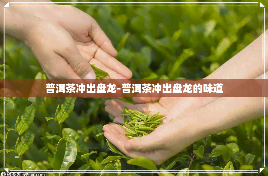 普洱茶冲出盘龙-普洱茶冲出盘龙的味道