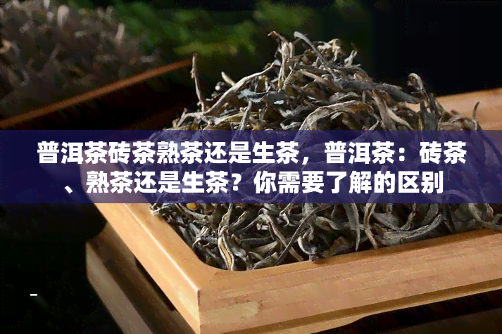 普洱茶砖茶熟茶还是生茶，普洱茶：砖茶、熟茶还是生茶？你需要了解的区别