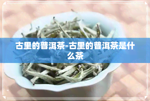 古里的普洱茶-古里的普洱茶是什么茶