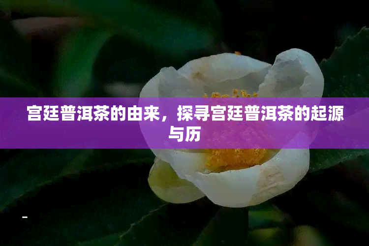 宫廷普洱茶的由来，探寻宫廷普洱茶的起源与历