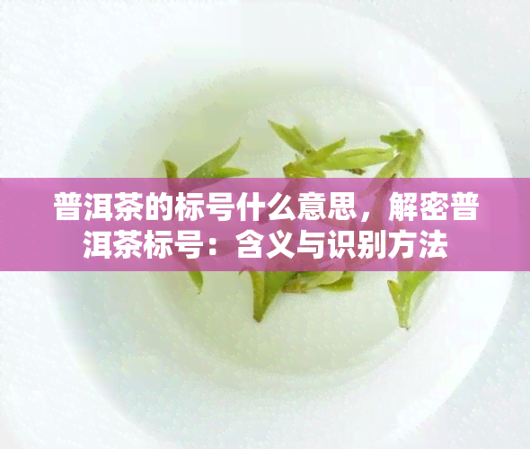 普洱茶的标号什么意思，解密普洱茶标号：含义与识别方法