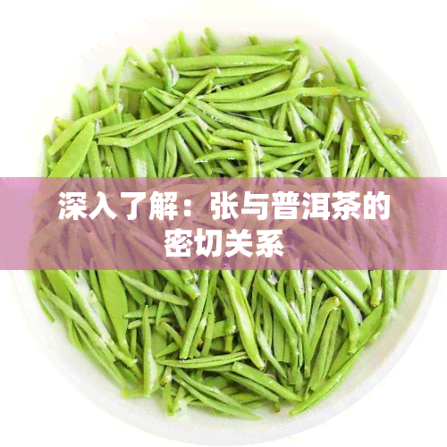 深入了解：张与普洱茶的密切关系