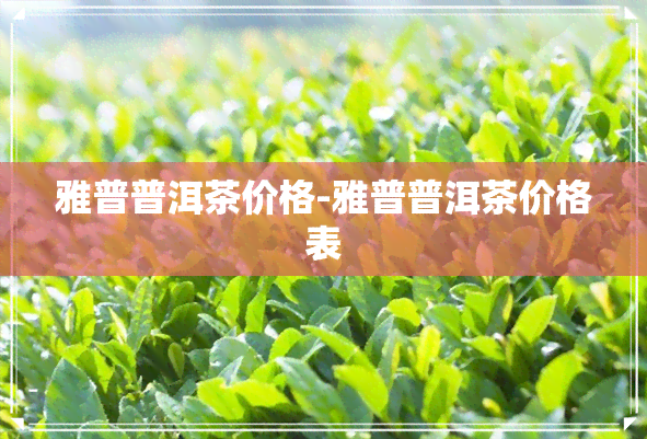 雅普普洱茶价格-雅普普洱茶价格表