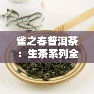 雀之春普洱茶：生茶系列全面介绍