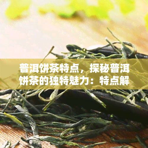 普洱饼茶特点，探秘普洱饼茶的独特魅力：特点解析与品鉴指南