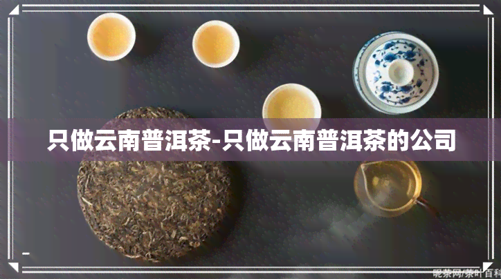 只做云南普洱茶-只做云南普洱茶的公司