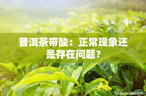 普洱茶带酸：正常现象还是存在问题？