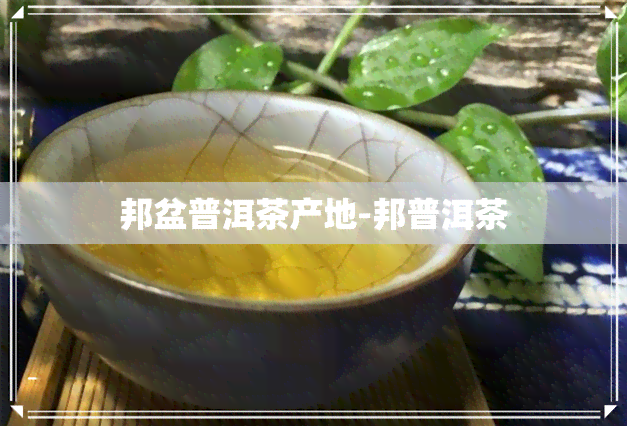 邦盆普洱茶产地-邦普洱茶