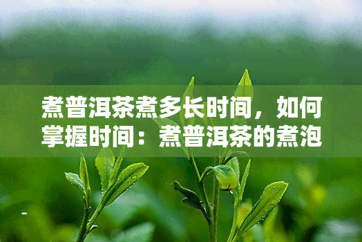 煮普洱茶煮多长时间，如何掌握时间：煮普洱茶的煮泡时长