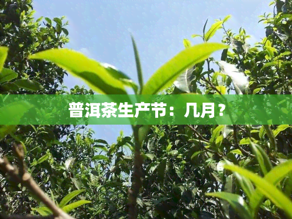 普洱茶生产节：几月？