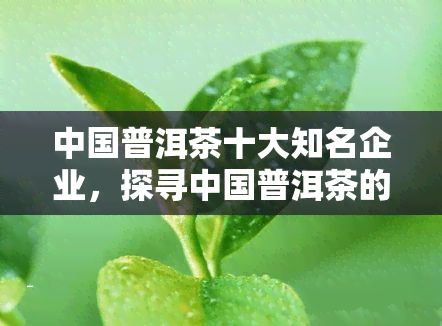 中国普洱茶十大知名企业，探寻中国普洱茶的魅力：十大知名企业一览