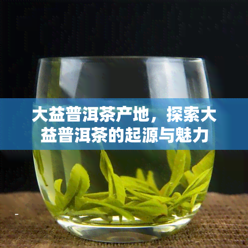 大益普洱茶产地，探索大益普洱茶的起源与魅力