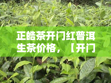 正皓茶开门红普洱生茶价格，【开门红】正皓茶普洱生茶新品上市，抢尝价！