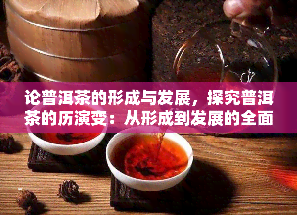 论普洱茶的形成与发展，探究普洱茶的历演变：从形成到发展的全面解析