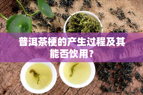 普洱茶梗的产生过程及其能否饮用？