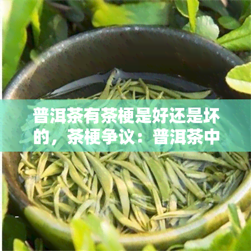 普洱茶有茶梗是好还是坏的，茶梗争议：普洱茶中的茶梗是好是坏？