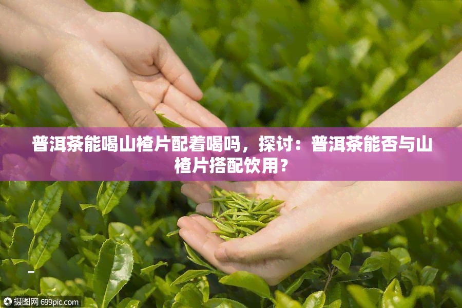 普洱茶能喝山楂片配着喝吗，探讨：普洱茶能否与山楂片搭配饮用？