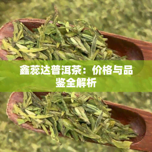 鑫蕊达普洱茶：价格与品鉴全解析