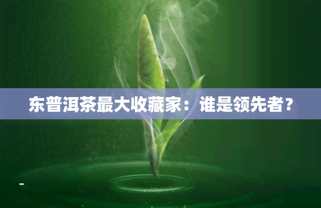 东普洱茶更大收藏家：谁是领先者？