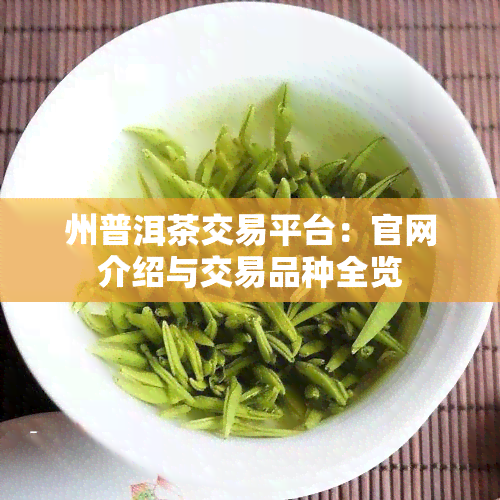 州普洱茶交易平台：官网介绍与交易品种全览