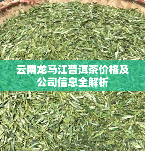 云南龙马江普洱茶价格及公司信息全解析