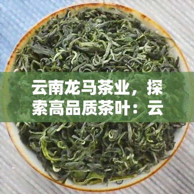 云南龙马茶业，探索高品质茶叶：云南龙马茶业的茶叶之旅