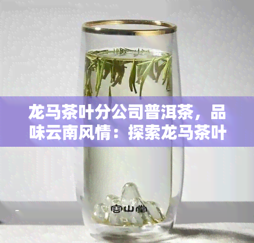 龙马茶叶分公司普洱茶，品味云南风情：探索龙马茶叶分公司普洱茶的魅力