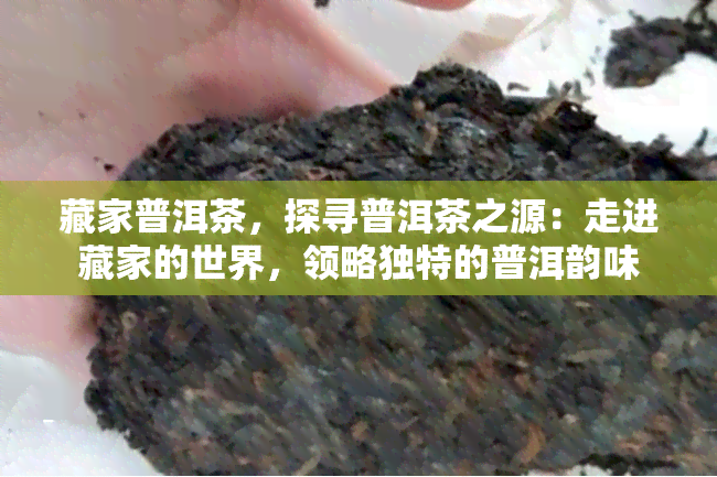 藏家普洱茶，探寻普洱茶之源：走进藏家的世界，领略独特的普洱韵味