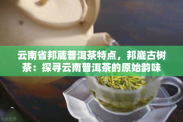 云南省邦葳普洱茶特点，邦崴古树茶：探寻云南普洱茶的原始韵味