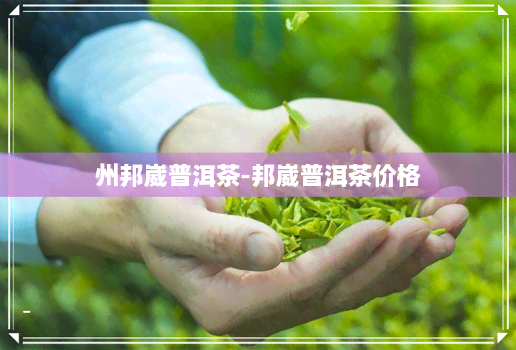 州邦崴普洱茶-邦崴普洱茶价格