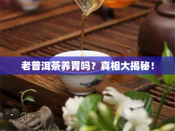 老普洱茶养胃吗？真相大揭秘！