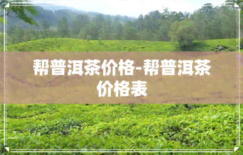 帮普洱茶价格-帮普洱茶价格表