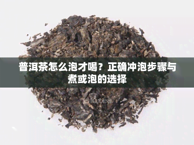 普洱茶怎么泡才喝？正确冲泡步骤与煮或泡的选择