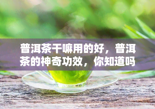 普洱茶干嘛用的好，普洱茶的神奇功效，你知道吗？