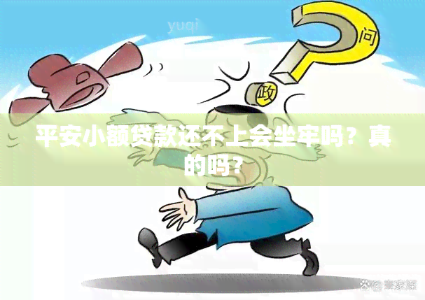 平安小额贷款还不上会坐牢吗？真的吗？