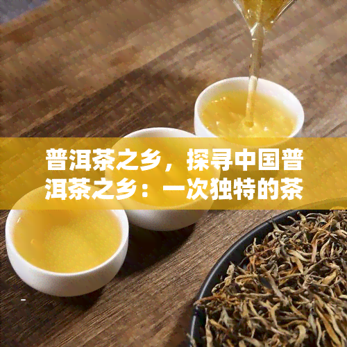 普洱茶之乡，探寻中国普洱茶之乡：一次独特的茶叶之旅