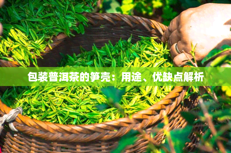 包装普洱茶的笋壳：用途、优缺点解析