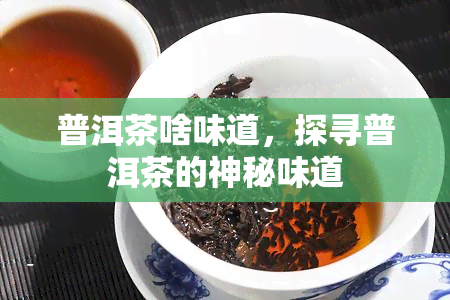 普洱茶啥味道，探寻普洱茶的神秘味道