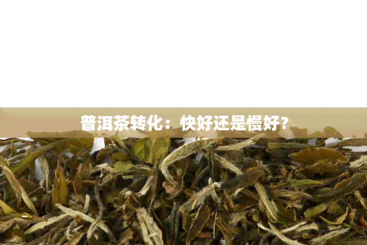 普洱茶转化：快好还是慢好？