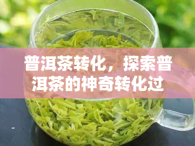 普洱茶转化，探索普洱茶的神奇转化过程：从新茶叶到陈年佳酿