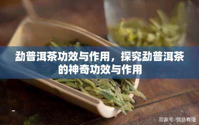 勐普洱茶功效与作用，探究勐普洱茶的神奇功效与作用