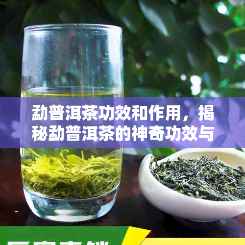 勐普洱茶功效和作用，揭秘勐普洱茶的神奇功效与作用