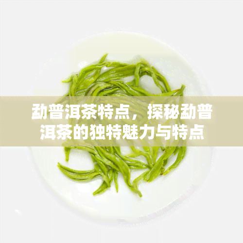 勐普洱茶特点，探秘勐普洱茶的独特魅力与特点