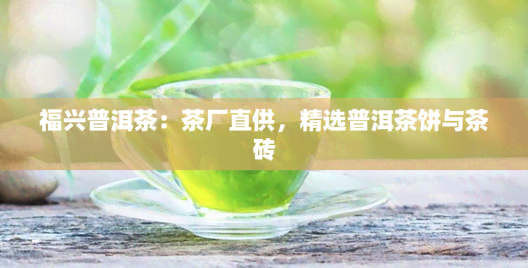 福兴普洱茶：茶厂直供，精选普洱茶饼与茶砖