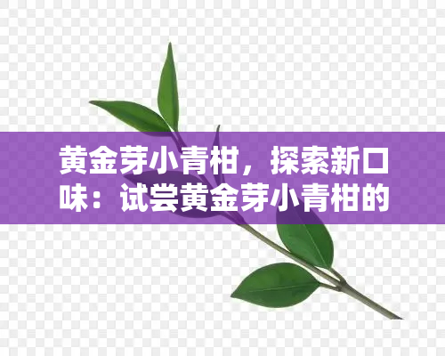 黄金芽小青柑，探索新口味：试尝黄金芽小青柑的独特魅力